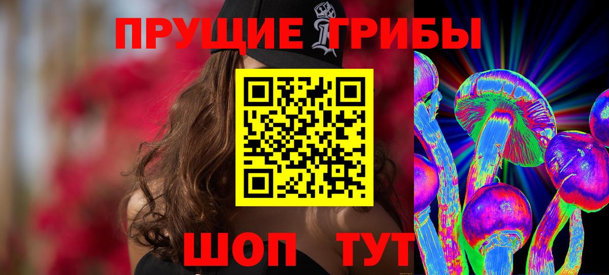 Галлюциногенные грибы Psilocybine cubensis Костомукша