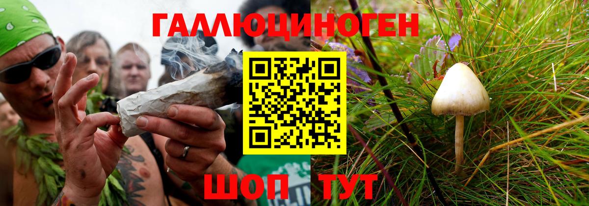 Галлюциногенные грибы Psilocybine cubensis  Вход с VPN  Костомукша 